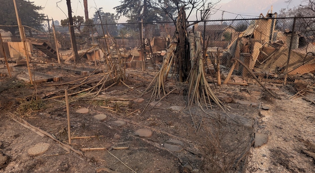 Image_Gardener_John_Lynch_1